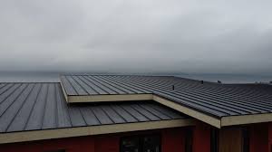 Best Green or Eco-Friendly Roofing Solutions  in Friendswood, TX